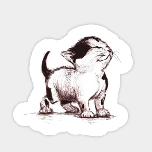 Happy kitten Sticker